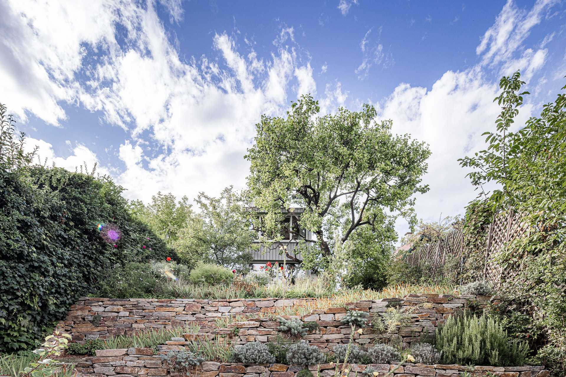 Tiny House – Garten